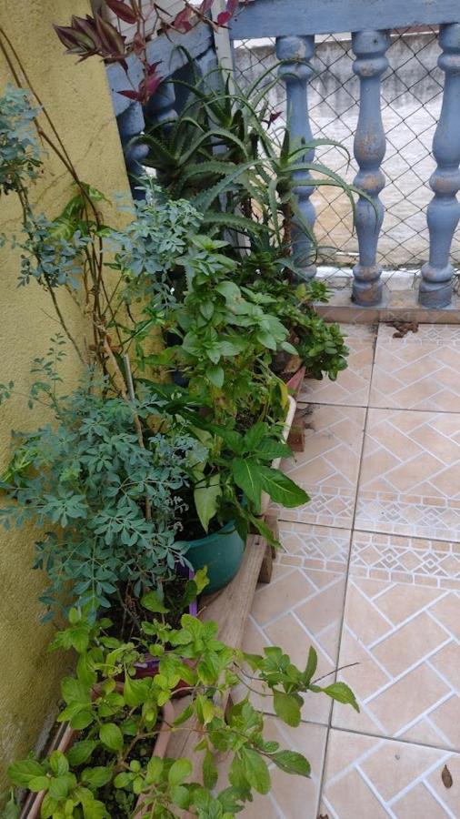 Hospedagem Domiciliar Alternativa Balneário Camboriú Extérieur photo